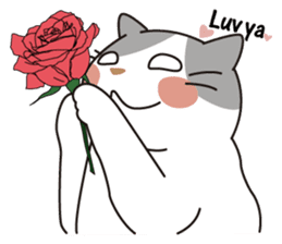 OBAKAWA cat C'eC.3rd OSAKA ver. sticker #9428589