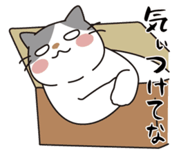 OBAKAWA cat C'eC.3rd OSAKA ver. sticker #9428593
