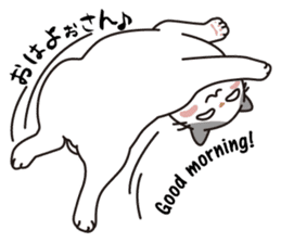 OBAKAWA cat C'eC.3rd OSAKA ver. sticker #9428598