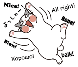 OBAKAWA cat C'eC.3rd OSAKA ver. sticker #9428599