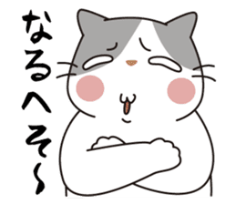 OBAKAWA cat C'eC.3rd OSAKA ver. sticker #9428601
