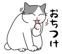 OBAKAWA cat C'eC.3rd OSAKA ver. sticker #9428615