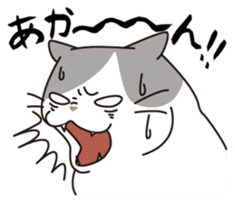 OBAKAWA cat C'eC.3rd OSAKA ver. sticker #9428622