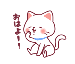 Fluffy White cat sticker #9435304