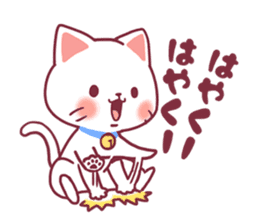 Fluffy White cat sticker #9435331