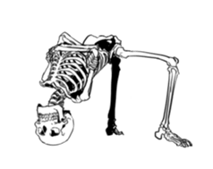 just bones5 sticker #9436374