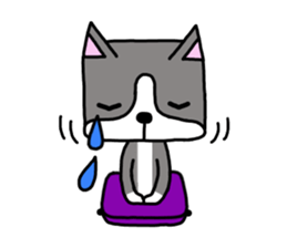 Dog's daily life sticker #9436611