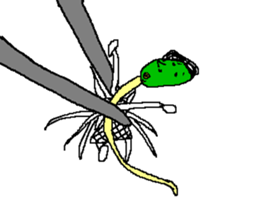 Bean sprouts manager 2 sticker #9436835