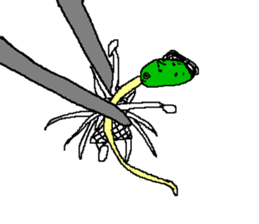 Bean sprouts manager 2 sticker #9436835