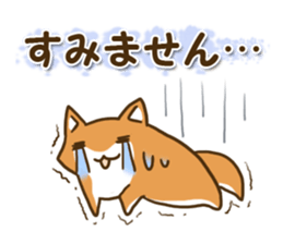 Japanese dog Shiba Inu (Ver.Japanese) sticker #9437474