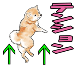 FAVORITE DOG sticker #9437904