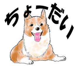 FAVORITE DOG sticker #9437906