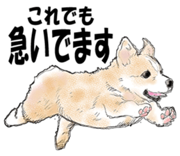 FAVORITE DOG sticker #9437907