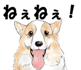 FAVORITE DOG sticker #9437909