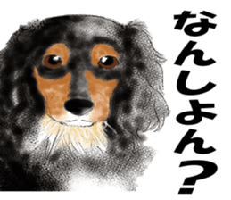 FAVORITE DOG sticker #9437910