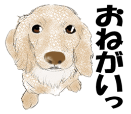 FAVORITE DOG sticker #9437911