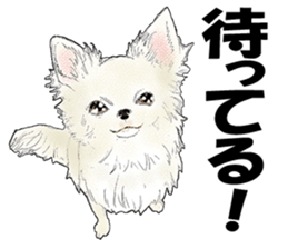 FAVORITE DOG sticker #9437914