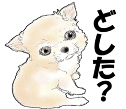 FAVORITE DOG sticker #9437916