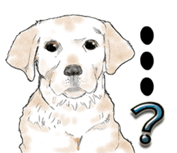 FAVORITE DOG sticker #9437918