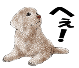 FAVORITE DOG sticker #9437920