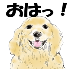 FAVORITE DOG sticker #9437923