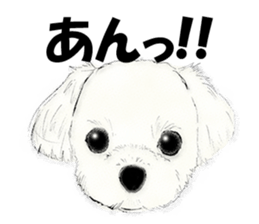 FAVORITE DOG sticker #9437925