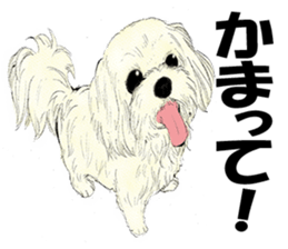 FAVORITE DOG sticker #9437926