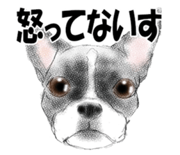 FAVORITE DOG sticker #9437931