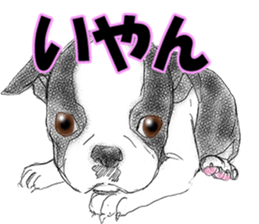 FAVORITE DOG sticker #9437933