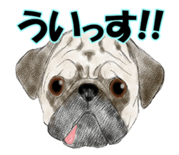 FAVORITE DOG sticker #9437934