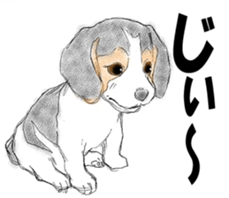 FAVORITE DOG sticker #9437938