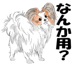 FAVORITE DOG sticker #9437940