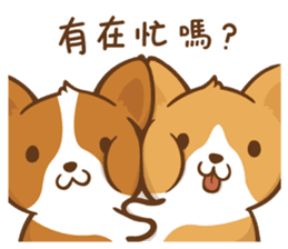 Corgi Dog KaKa - Good Friends sticker #9440562