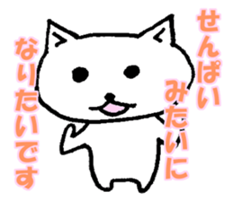 little junior cat sticker #9441764