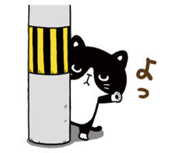 Hachi the Alley cat sticker #9442360