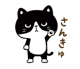 Hachi the Alley cat sticker #9442361