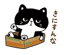 Hachi the Alley cat sticker #9442366