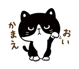 Hachi the Alley cat sticker #9442372