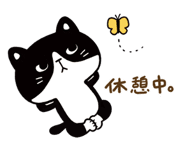 Hachi the Alley cat sticker #9442397