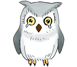 Lazy Grey Owl sticker #9443522