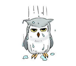 Lazy Grey Owl sticker #9443527