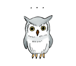 Lazy Grey Owl sticker #9443528