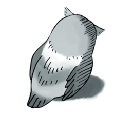 Lazy Grey Owl sticker #9443531