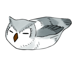 Lazy Grey Owl sticker #9443534