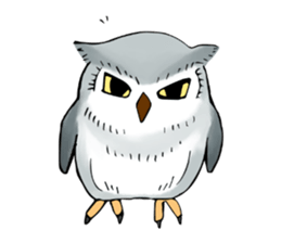 Lazy Grey Owl sticker #9443537