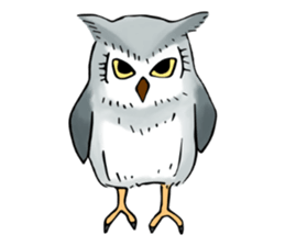 Lazy Grey Owl sticker #9443539