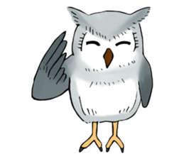Lazy Grey Owl sticker #9443540