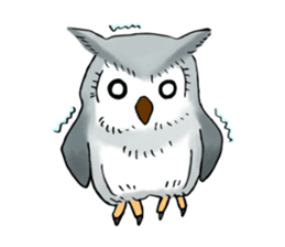 Lazy Grey Owl sticker #9443547