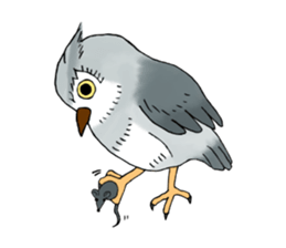 Lazy Grey Owl sticker #9443551
