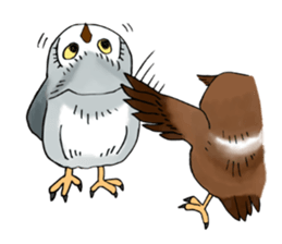 Lazy Grey Owl sticker #9443552